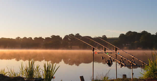 Etang De Brigueuil - carp fishing France