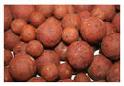 Icelandic red boilies