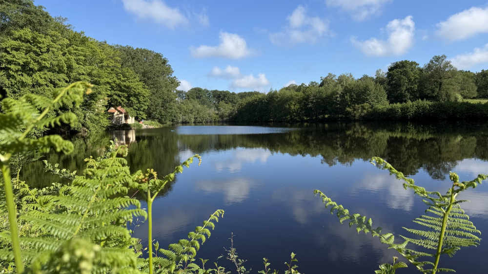 Vieux Lake 07