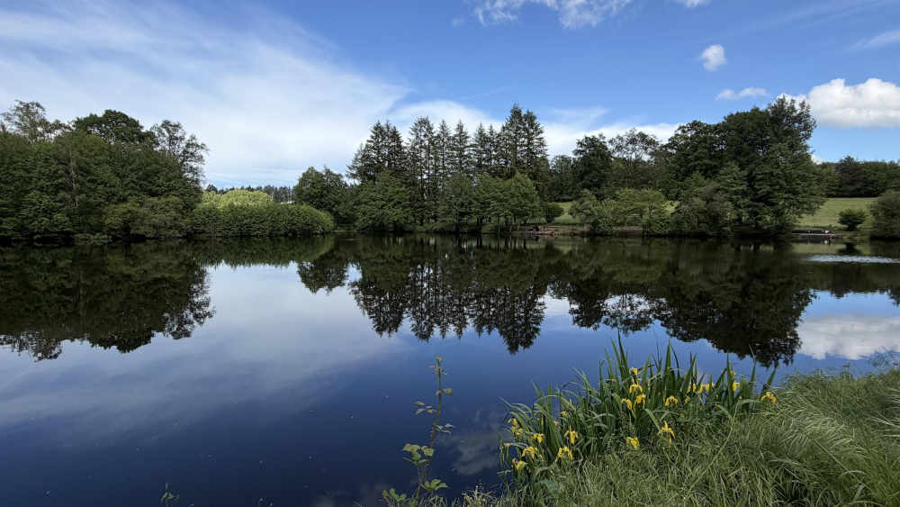 Vieux Lake 09