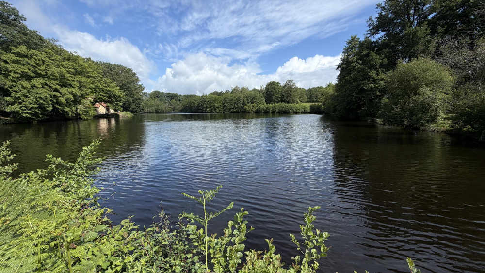 Vieux Lake 12
