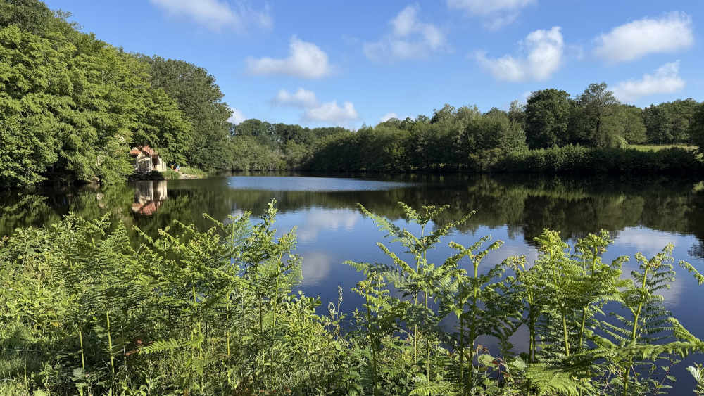 Vieux Lake 19