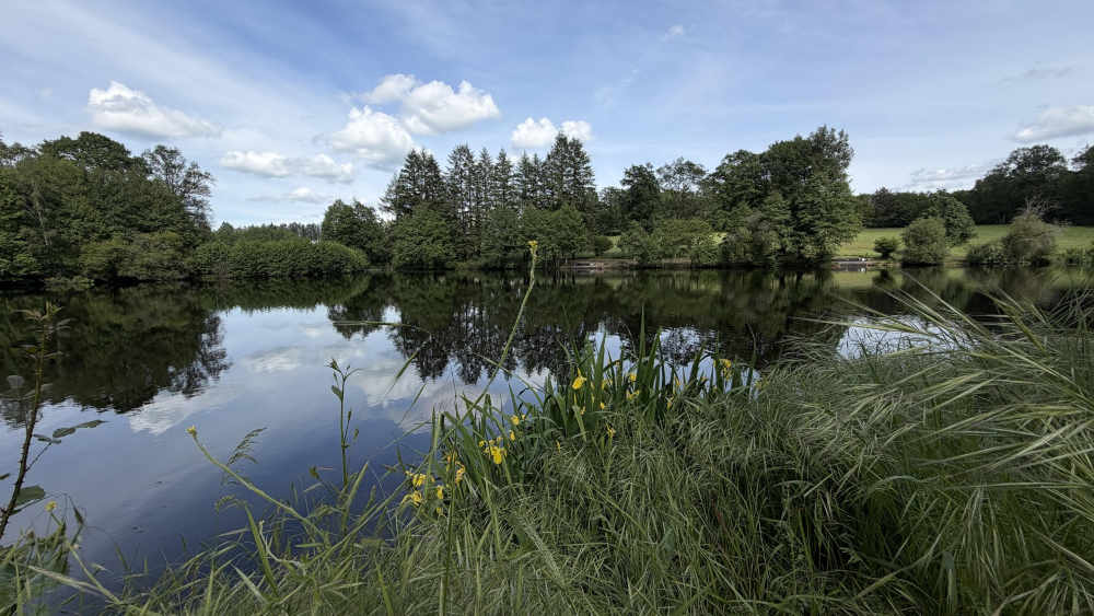 Vieux Lake 23